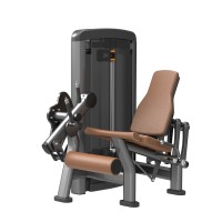  Leg Extension